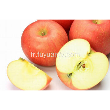 2018 Nouvelle pomme Qinguan fraîche de haute qualité
